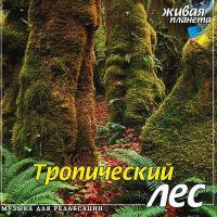 CD диск "Тропический лес"