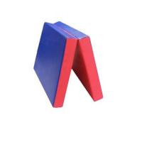 Мат без аппликации складной 2-х секционный (200х100х8 см)